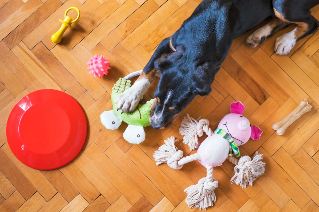 65.- Venta de productos para el cuidado de mascotas en línea